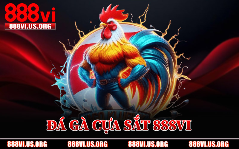 Đá Gà Cựa Sắt 888VI