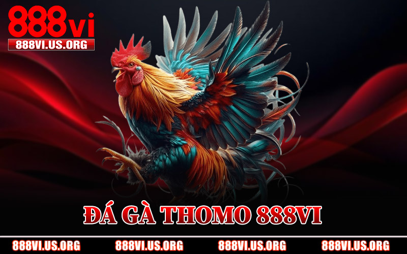 Đá Gà Thomo 888VI